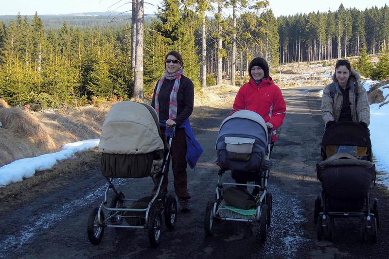 Kočárkové trio