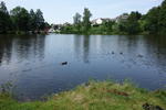 DSC01884