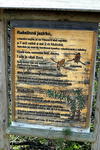 Naučná