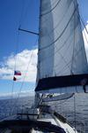 Canary Sailing