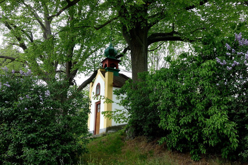 Kaplička v šeříku