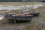 DSC00450