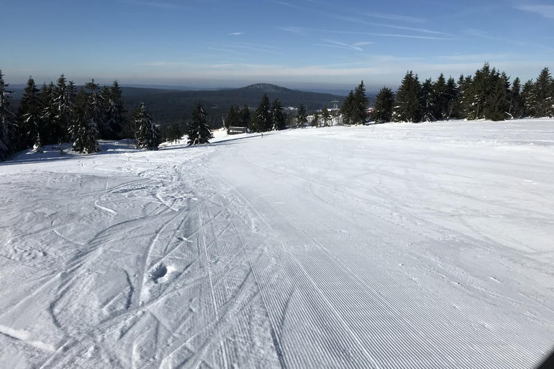 Manšestr