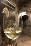 AnnoVino