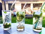 Mojito ve Vinoři