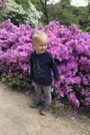 Eliáš s rododendrony