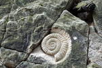 Ulita