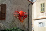 Krab