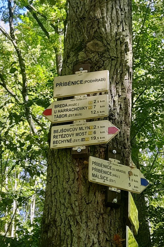 Oběd v Příběnicích