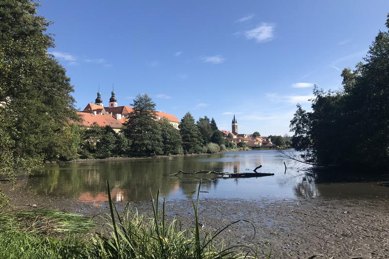 Vypuštěný rybník v parku