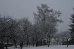 Bílá zahrada