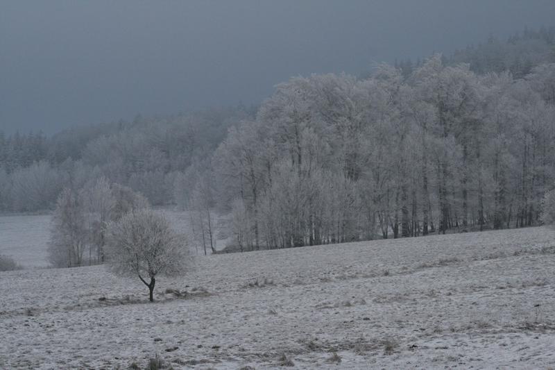Ojíněná krajina