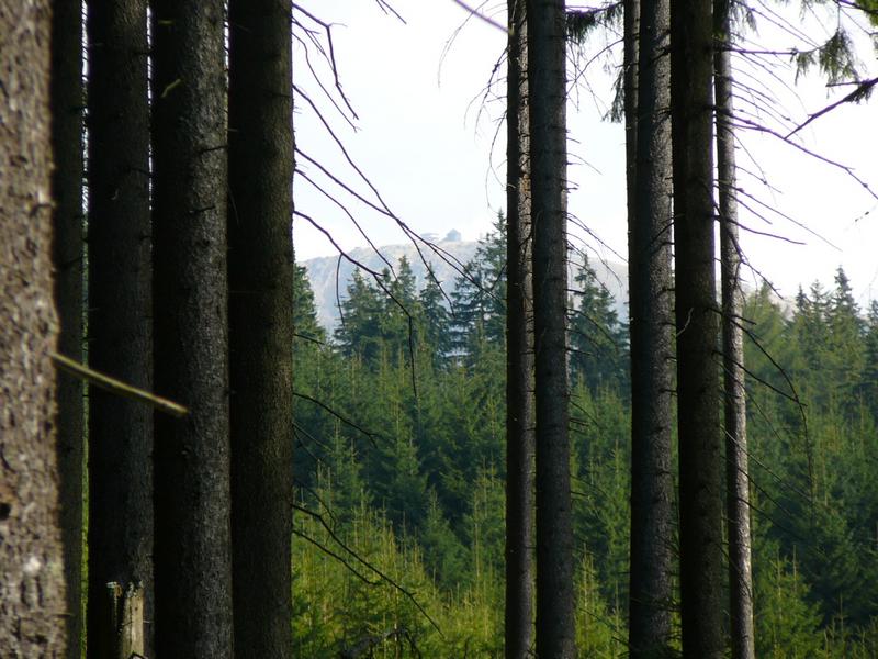 P1040778